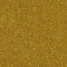 Westex Ultima Twist Jasper