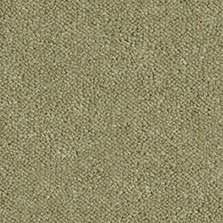 Westex Ultima Twist Sage