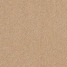 Westex Westend Velvet Champagne