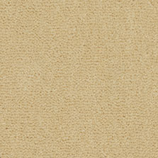 Westex Westend Velvet Cider