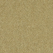 Westex Westend Velvet Pecan