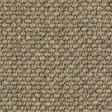 Westex Butterwick Wool Loop Bobcat