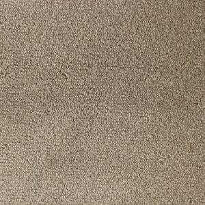 Telenzo Whisper Talpa