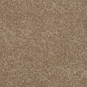 Abingdon Hidden Depths Velvet Taupe