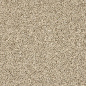 Abingdon Knightsbridge Berber Creamed Ash
