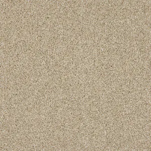 Abingdon Knightsbridge Berber Creamed Ash