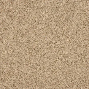 Abingdon Knightsbridge Berber Honeycomb Twist