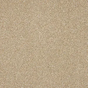 Abingdon Knightsbridge Berber Wheat Mist