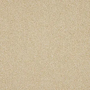 Abingdon Knightsbridge Berber Desert Fleece