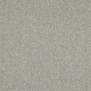 Abingdon Knightsbridge Berber Granite Mist