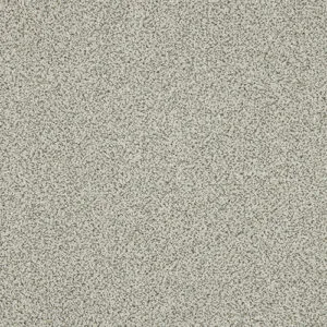 Abingdon Knightsbridge Berber Dusty Fossil