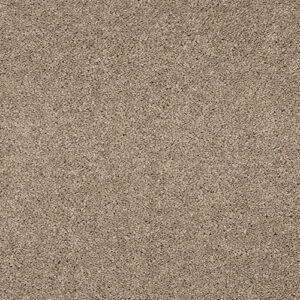 Abingdon Seduction Cashmere