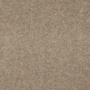 Abingdon Seduction Cashmere