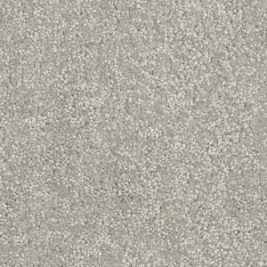 Cavalier Altitude Enclave