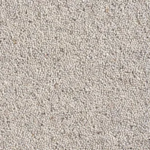 Cavalier Country Collection Madeleine