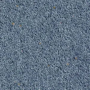 Cavalier Country Collection Wafer