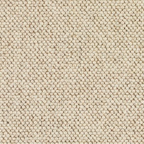 Brockway Discovery Scout