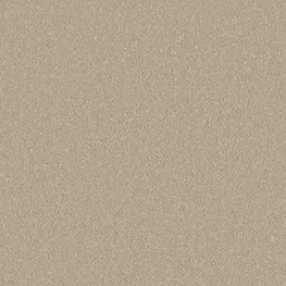 Cormar Soft Deep Pile Silken Serenity Stucco