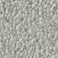 Westex Elysian Velvet Canvas
