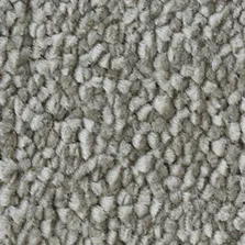Westex Elysian Velvet Macademia