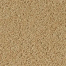 Westex Fired Earth Hebble Twist Goldfinch