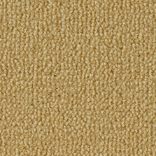 Westex Fired Earth Wiske Velvet Goldfinch