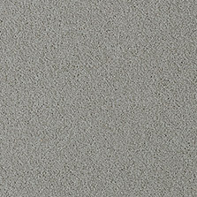 Westex Fine Westex Twist Bayton Birch