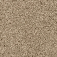 Westex Fine Westex Twist Bransford Biscuit