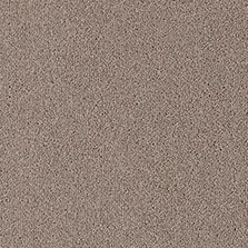 Westex Fine Westex Twist Newland Nectar