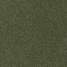 Westex Fine Westex Twist Ombersley Olive