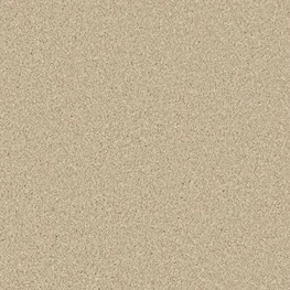 Cormar Easy Clean Zenith Lakeside